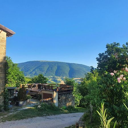 Le Ginestre Guesthouse Assisi Exterior foto