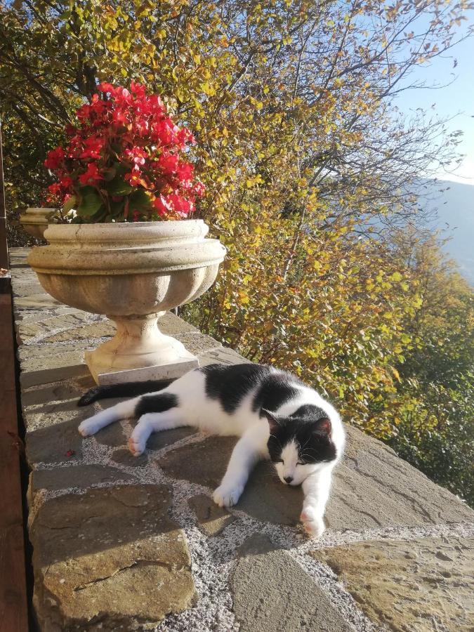 Le Ginestre Guesthouse Assisi Exterior foto